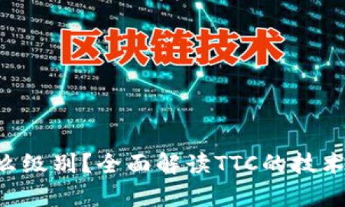 区块链TTC是什么级别？全面解读TTC的技术指标与应用前景
