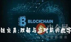 监管的区块链交易：理解与应对新兴数字资产的