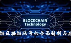 税链区块链账号的全面解析与应用