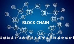 区块链是什么投资项目类型及其潜在价值分析