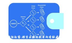 区块链极客：探索区块链技术的爱好者与专家