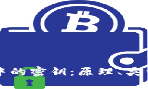 区块链技术中的密钥：原理、类型及应用详解