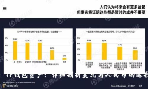 : TP钱包资产: 详细剖析美元与人民币的选择