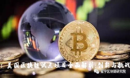 : 美国区块链试点项目全面解析：创新与挑战