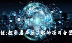 区块链：投资者必须了解的项目全景分析