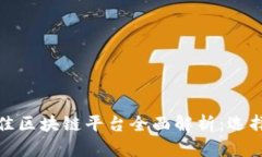 iPay最佳区块链平台全面解析：选择与优势