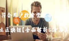 思考一个符合用户搜索需求并且的优质SCY是什么