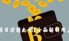 TP钱包的币能被项目方转走吗？全面解析用户隐私