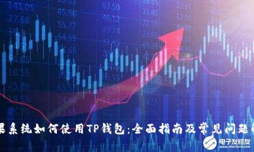 苹果系统如何使用TP钱包：全面指南及常见问题解答