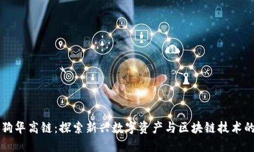 区块狗华高链：探索新兴数字资产与区块链技术的未来