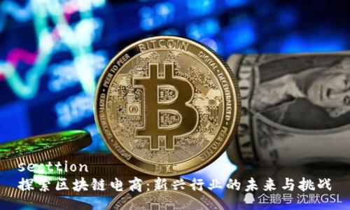secttion
探索区块链电商：新兴行业的未来与挑战