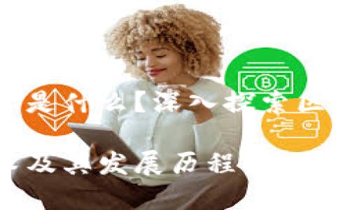 最早的区块链技术是什么？深入探索区块链的起源与发展

最早的区块链技术及其发展历程详解
