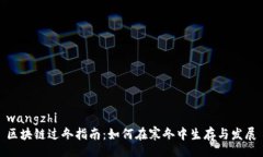wangzhi区块链过冬指南：如何在寒冬中生存与发展
