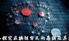 深入探究区块链分叉的原因及其影响