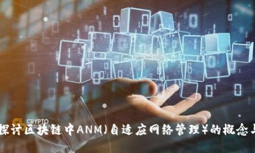 深入探讨区块链中ANM（自适应网络管理）的概念与应用