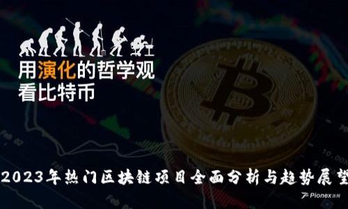 2023年热门区块链项目全面分析与趋势展望