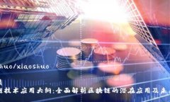 xiaoshuo/xiaoshuo的优质区块链技术应用大纲：全面解