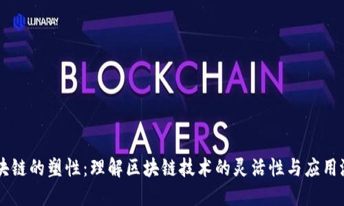 区块链的塑性：理解区块链技术的灵活性与应用潜力