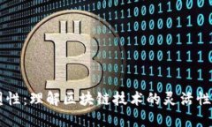 区块链的塑性：理解区块链技术的灵活性与应用