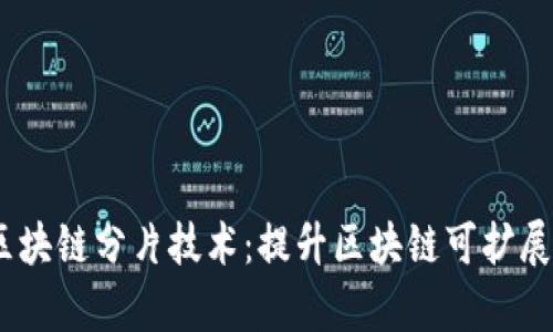 :深入解析区块链分片技术：提升区块链可扩展性的新方案