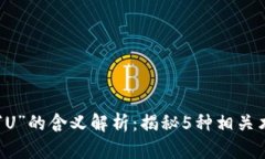 区块链中“U”的含义解析：揭秘5种相关术语及应