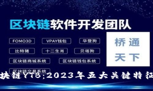 深入了解区块链YTB：2023年五大关键特征与应用实例