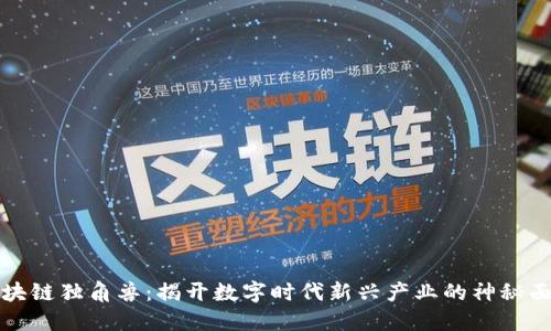 区块链独角兽：揭开数字时代新兴产业的神秘面纱