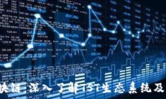   TST区块链：深入了解TST生态系统及其应用