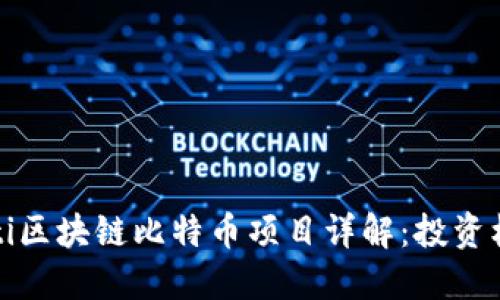 biao ti/biao ti区块链比特币项目详解：投资机会与技术优势