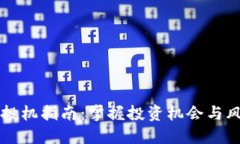 区块链投机指南：掌握投资机会与风险管理