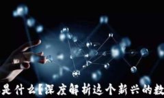 区块链MSC是什么？深度解析这个新兴的数字资产