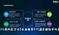 : 区块链BYC指的是什么？全面解析BYC在区块链中的
