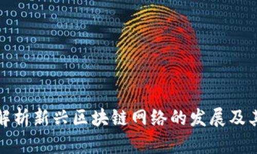 深入解析新兴区块链网络的发展及其含义