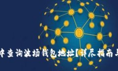 如何在TP钱包中查询波场钱包地址？详尽指南与常