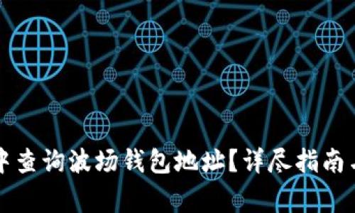 如何在TP钱包中查询波场钱包地址？详尽指南与常见问题解答