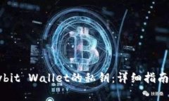 如何导出Bybit Wallet的私钥：详细指南与注意事项