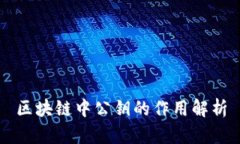 区块链中公钥的作用解析
