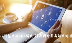 TP钱包中的BNB消失了？原因分析与解决方案