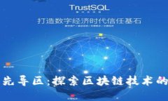 首个区块链先导区：探索区块链技术的未来与发