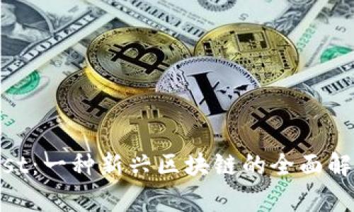 Fist：一种新兴区块链的全面解析