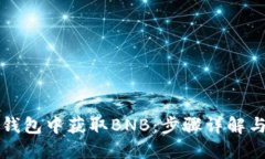 如何在TP钱包中获取BNB：步骤详解与实用技巧
