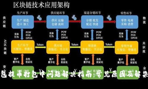 TP钱包提币打包中问题解决指南：常见原因及解决方案